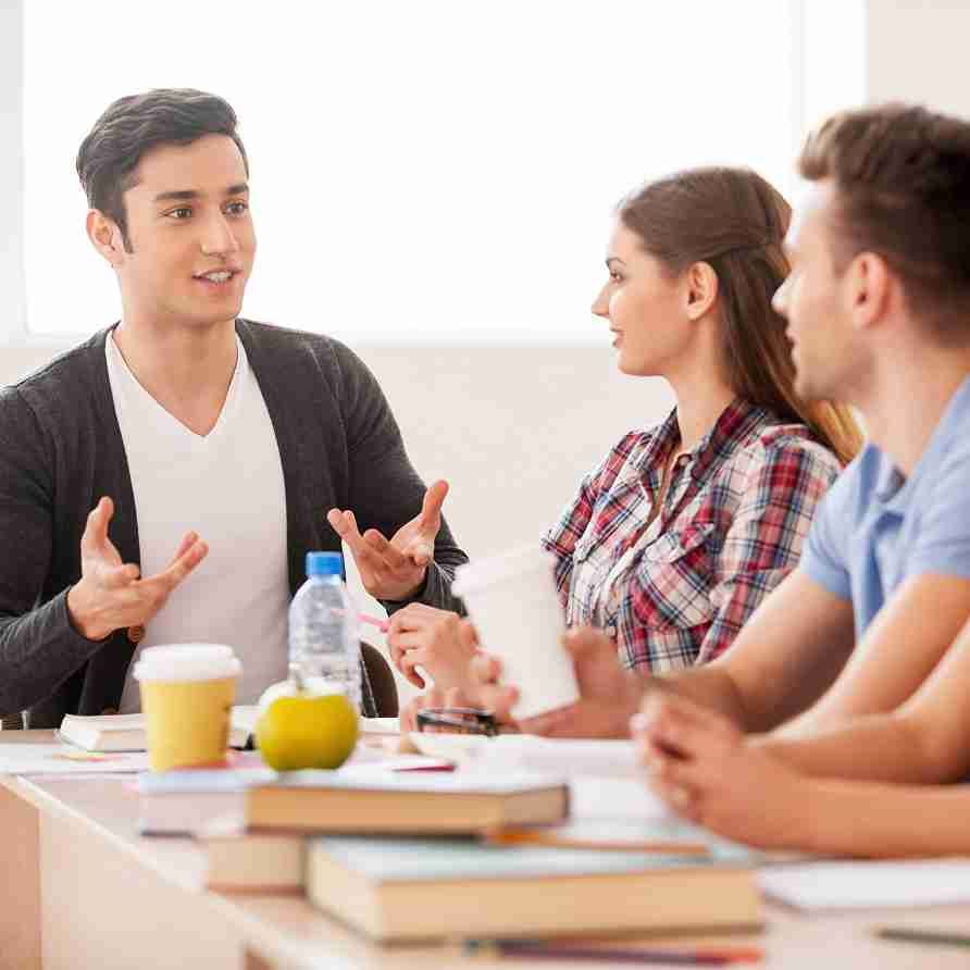 India Future Leaders Mentoring Programme